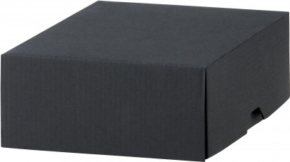 Zuckersticks 4 g - Bio Schweiz - 100 Stück